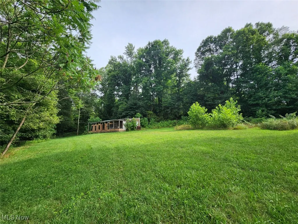View of grassy yard with an outbuilding