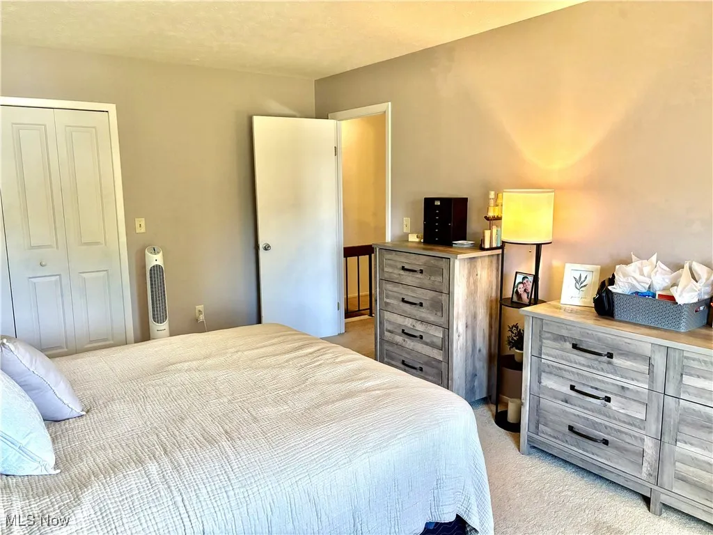 Master Bedroom with light colored carpet and a closet