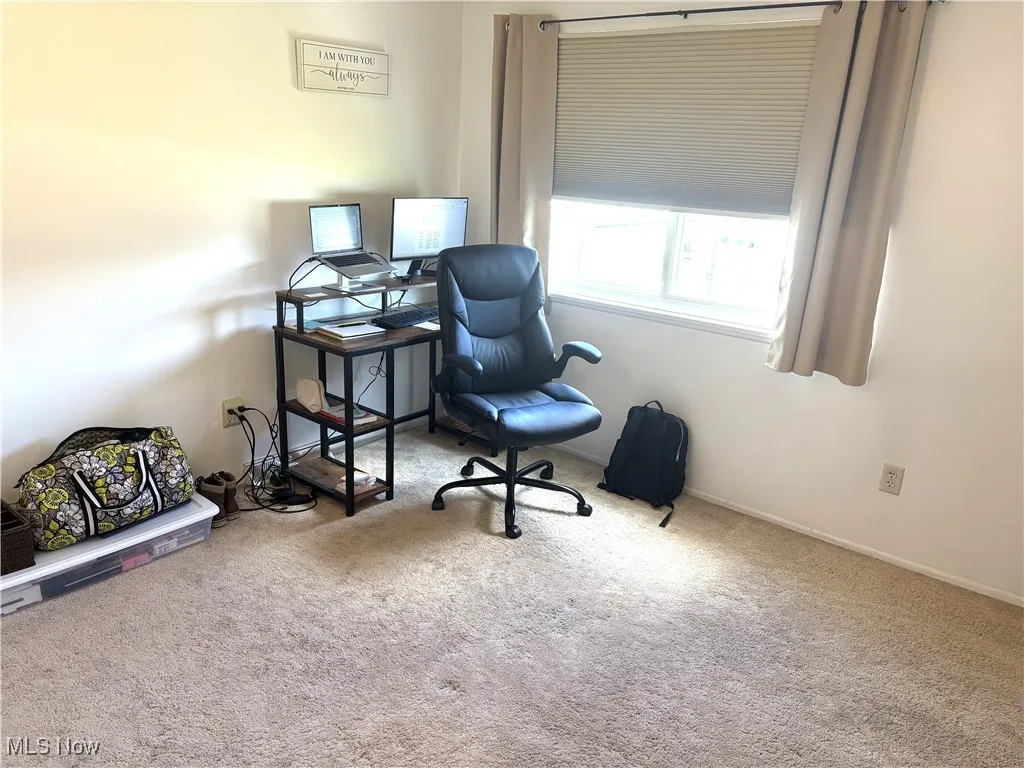 Bedroom or Office area with carpet