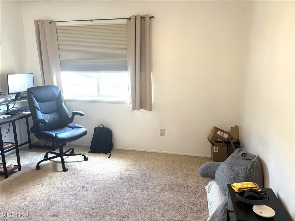 Bedroom or Office area with carpet