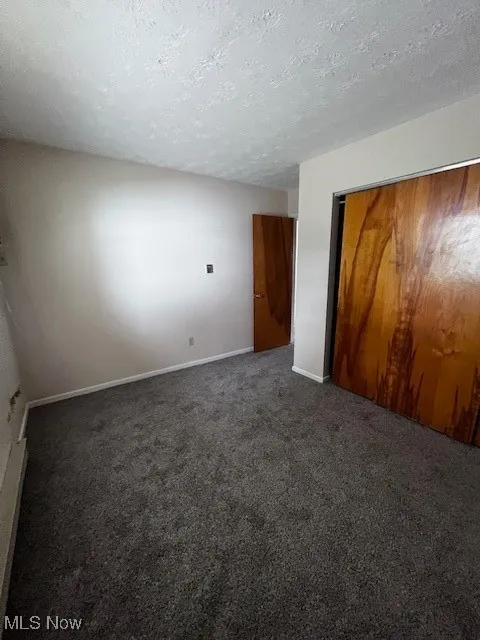 Unfurnished bedroom with carpet flooring, a textured ceiling, and a closet