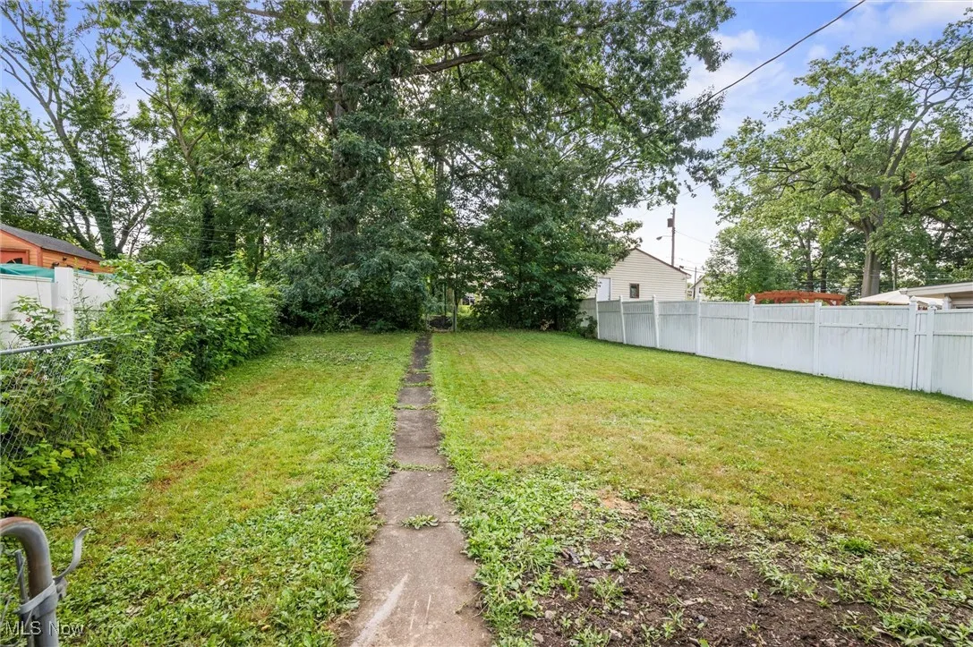 View of back yard