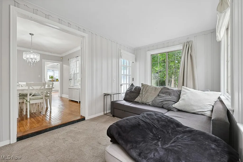Living room featuring plenty of natural light, a chandelier, radiator heating unit, crown molding, and carpet floors