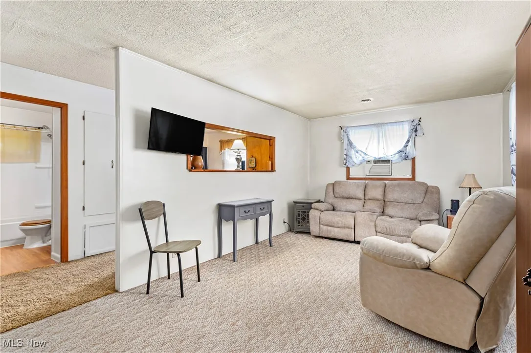 Carpeted living room with a textured ceiling