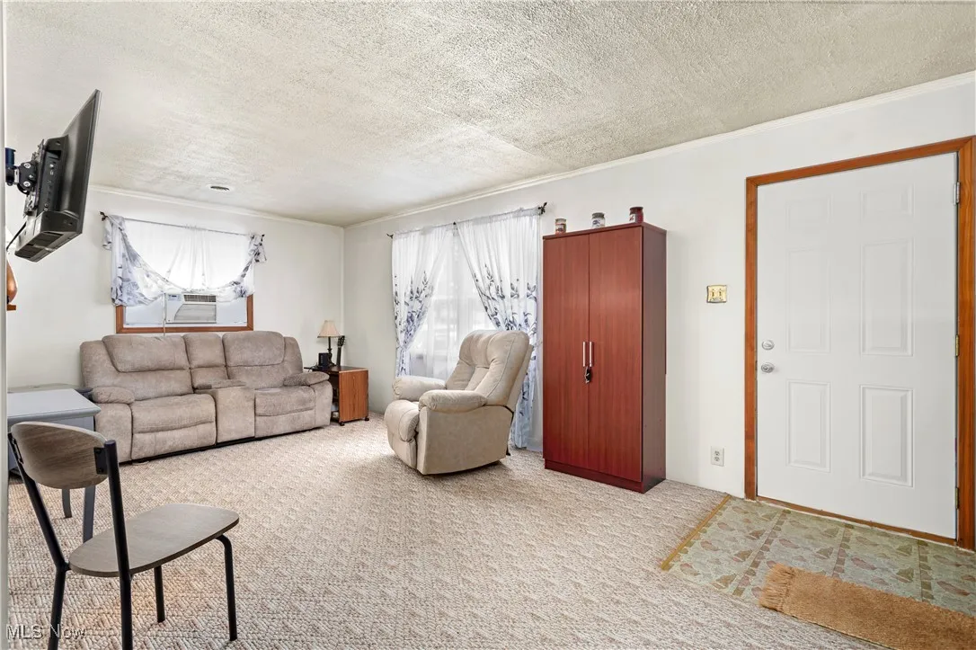 Living room featuring carpet, a textured ceiling, and ornamental molding