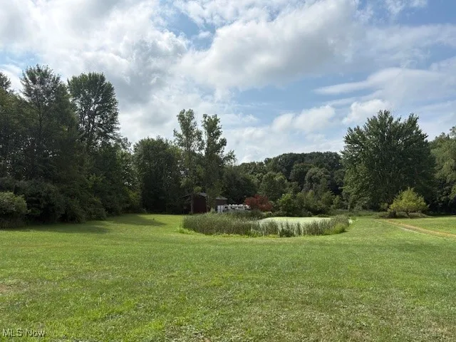 View of grassy yard with a wooded view