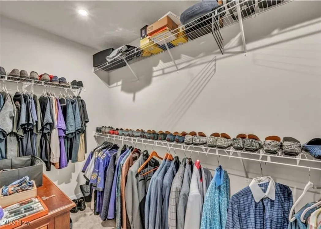Walk in closet with carpet