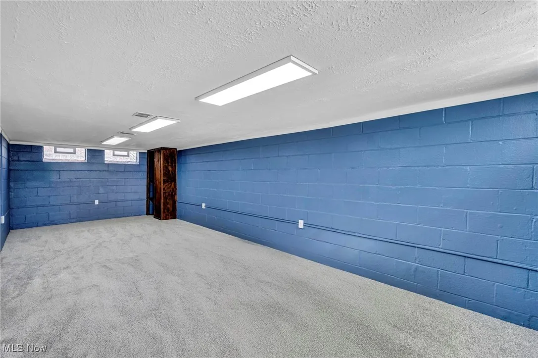 Below grade area with concrete block wall, a textured ceiling, and carpet flooring