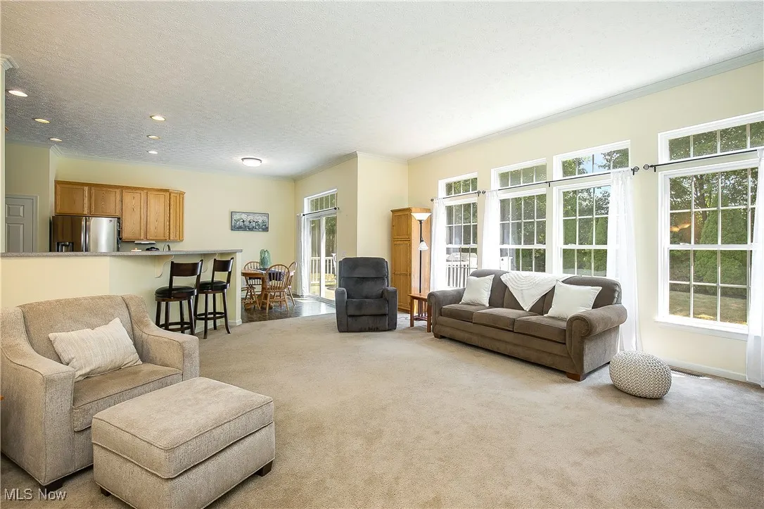 Living room with carpet, crown molding, and a textured ceiling