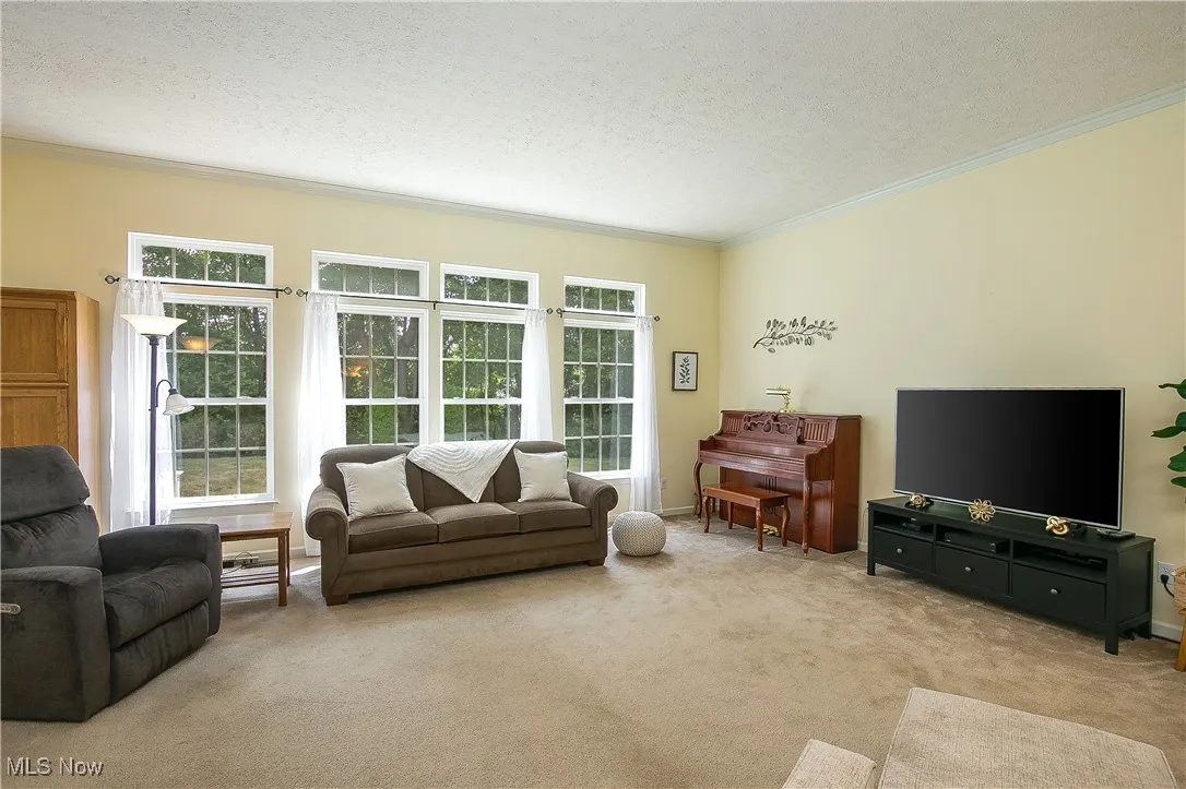 Carpeted living area featuring a textured ceiling, plenty of natural light, and crown molding