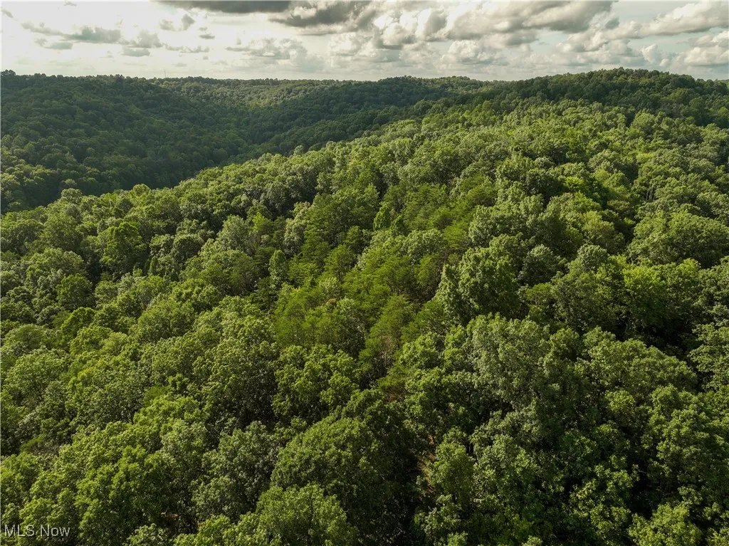 Aerial view of property's location featuring a heavily wooded area