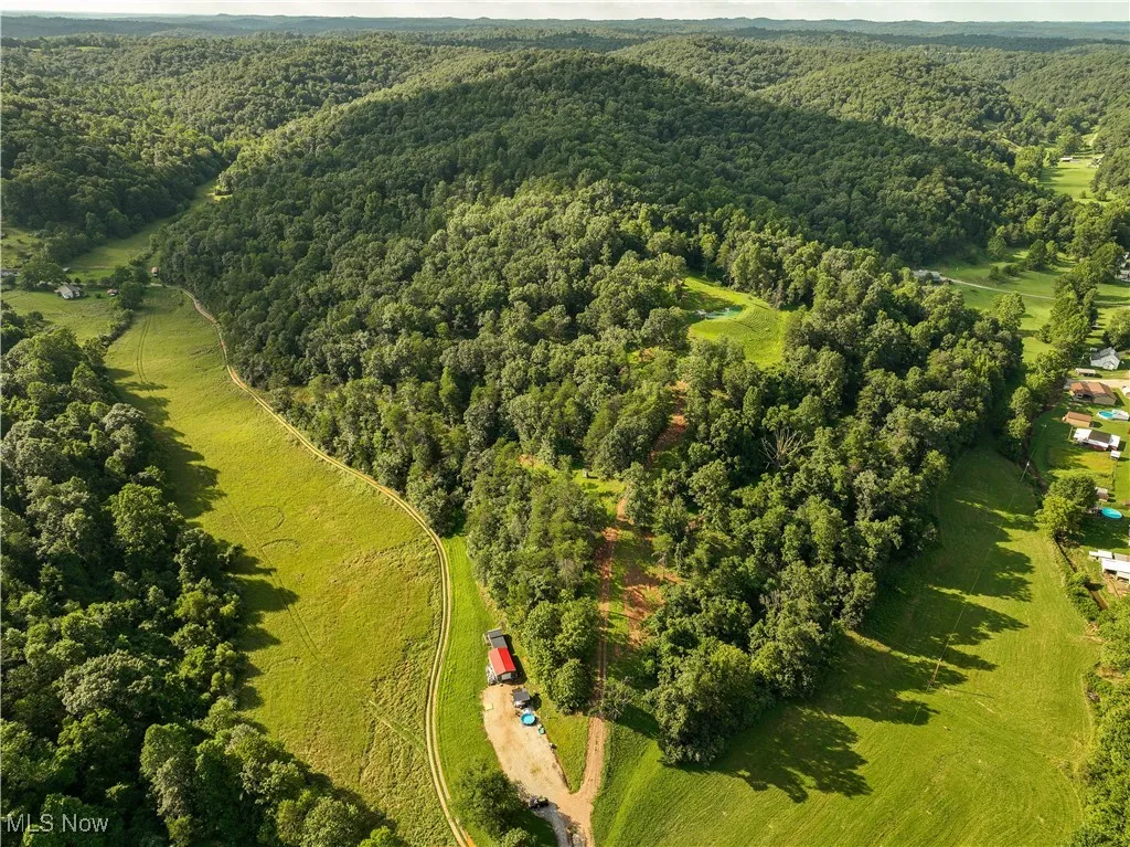 Bird's eye view of a forest