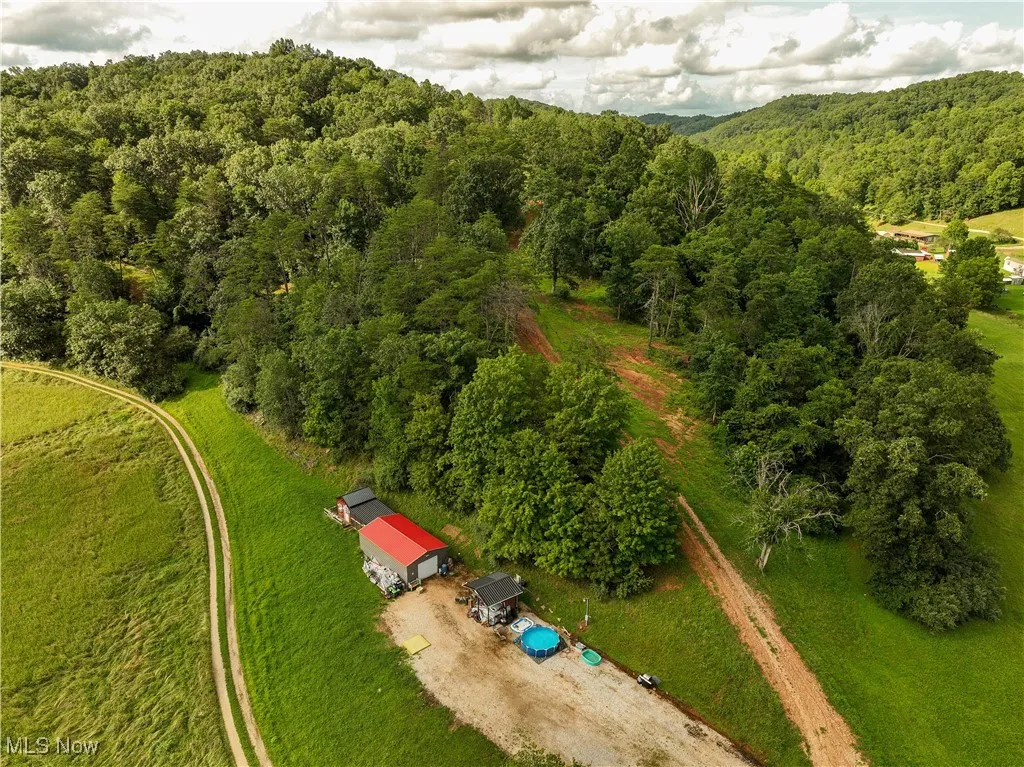 Bird's eye view of a forest