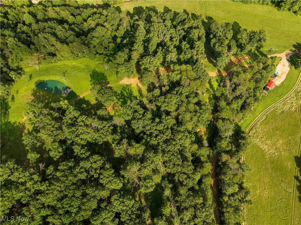 View of property location with a forest