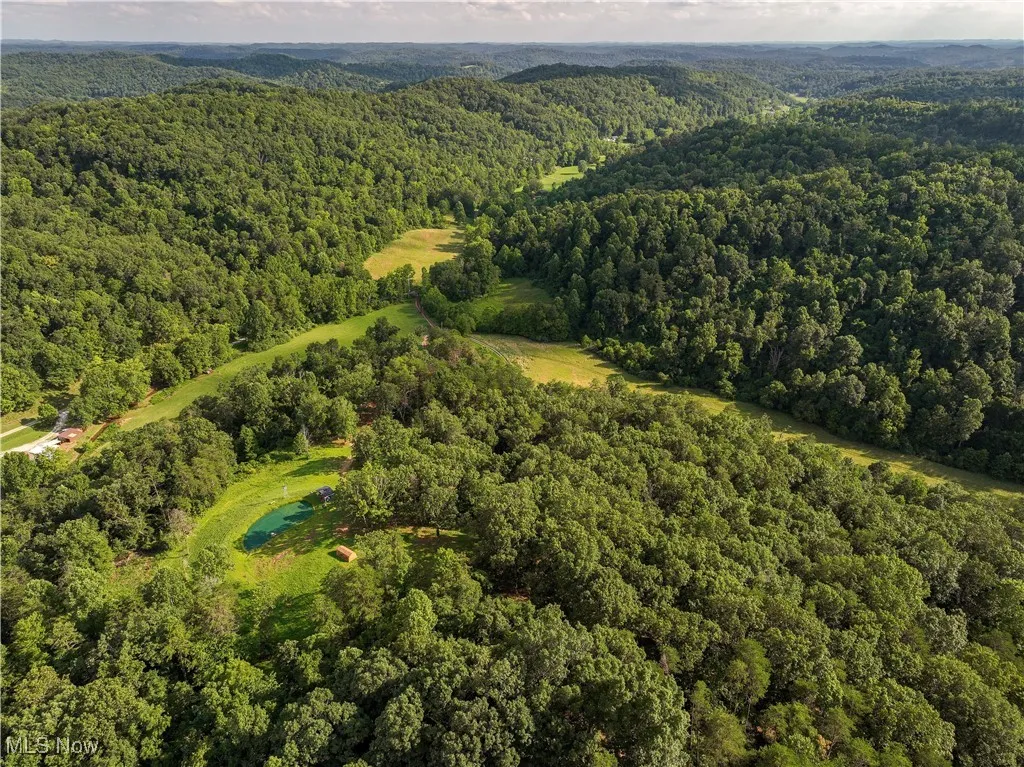 Aerial overview of property's location featuring a forest