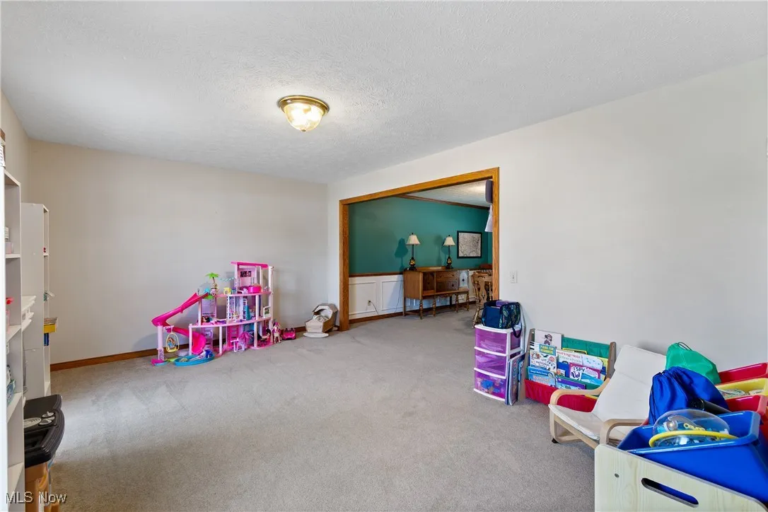Rec room featuring carpet floors and a textured ceiling