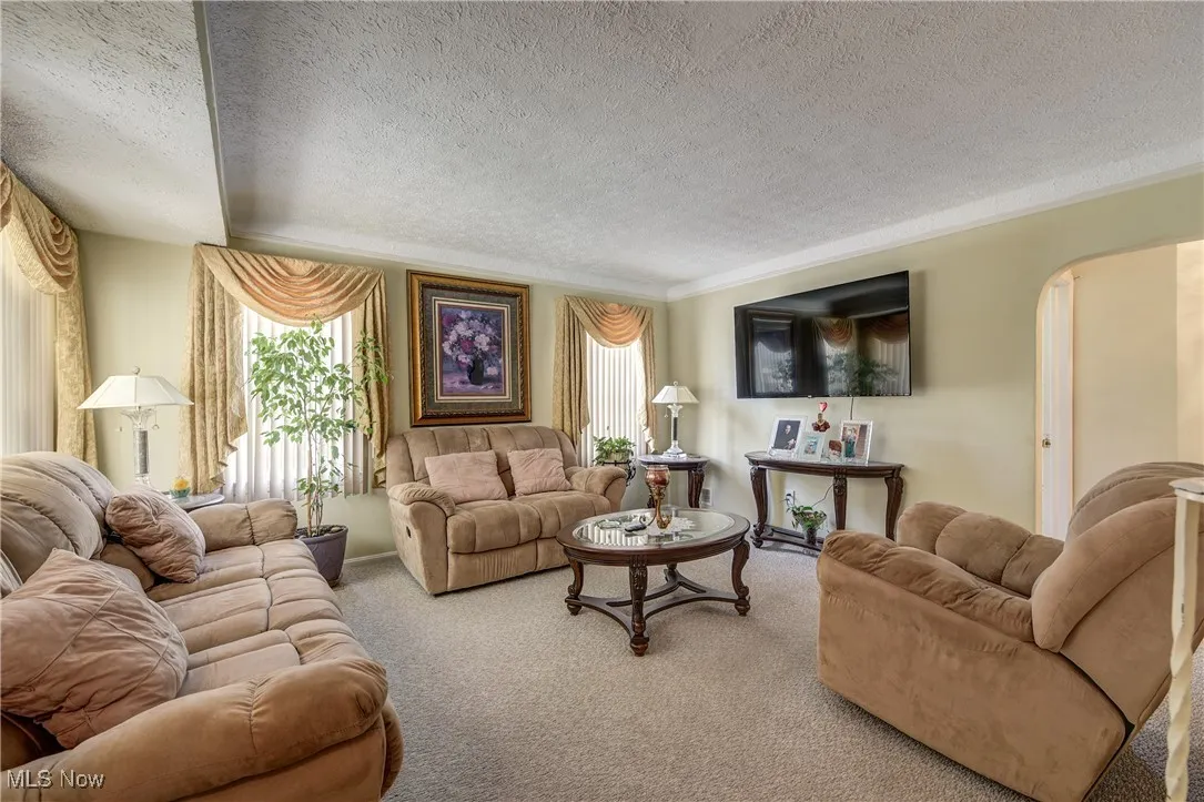 Living area featuring carpet flooring, plenty of natural light, a textured ceiling, and ornamental molding