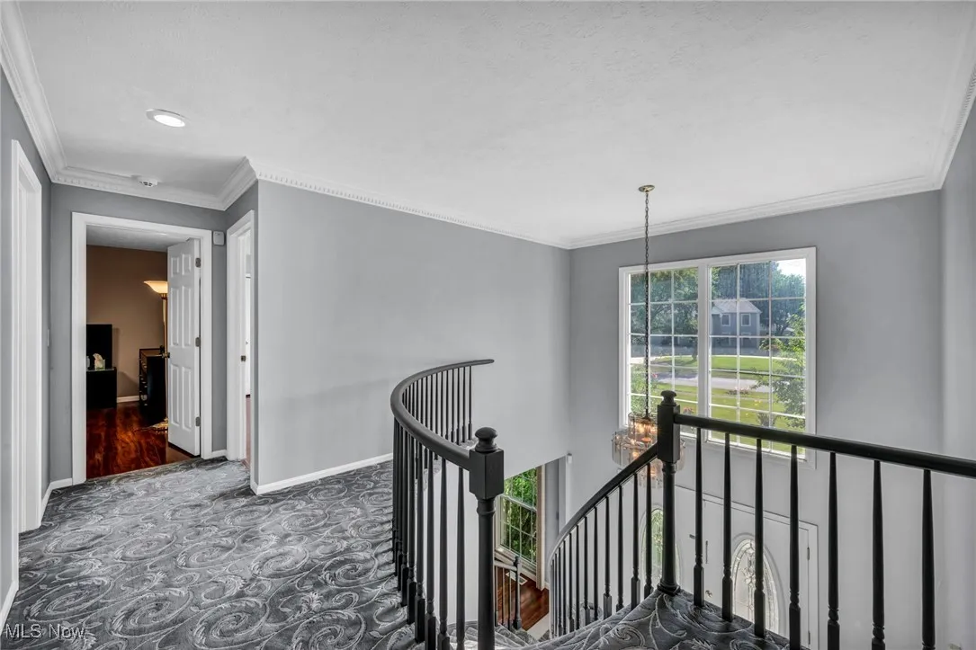 Stairs with ornamental molding and carpet flooring