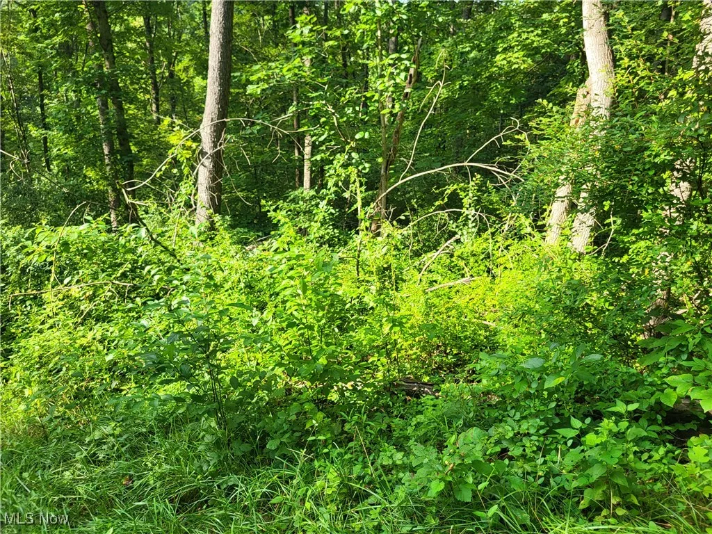 5855 Olney Run Road, Mcconnelsville, Ohio,MLS Now Listing ID