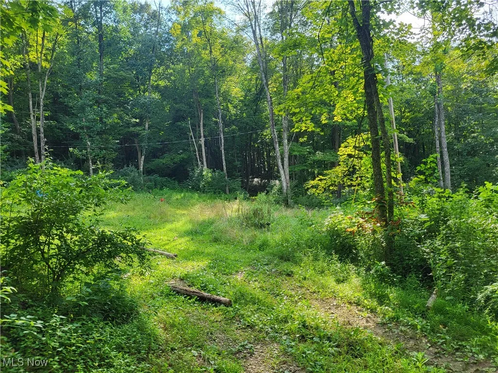 5855 Olney Run Road, Mcconnelsville, Ohio,MLS Now Listing ID