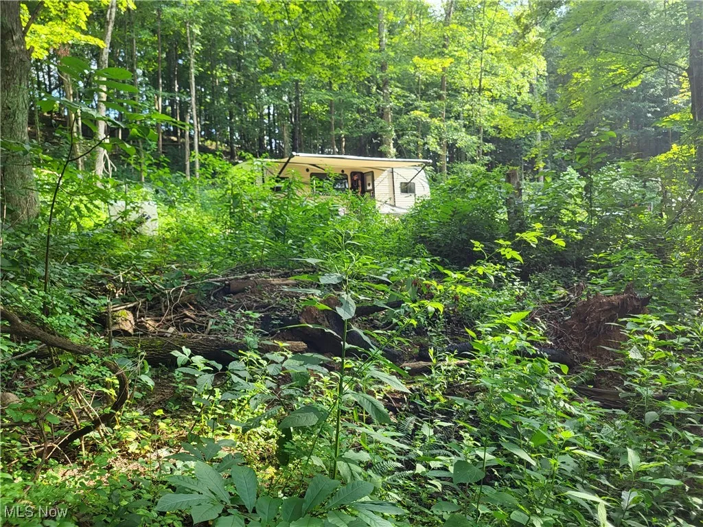 5855 Olney Run Road, Mcconnelsville, Ohio,MLS Now Listing ID