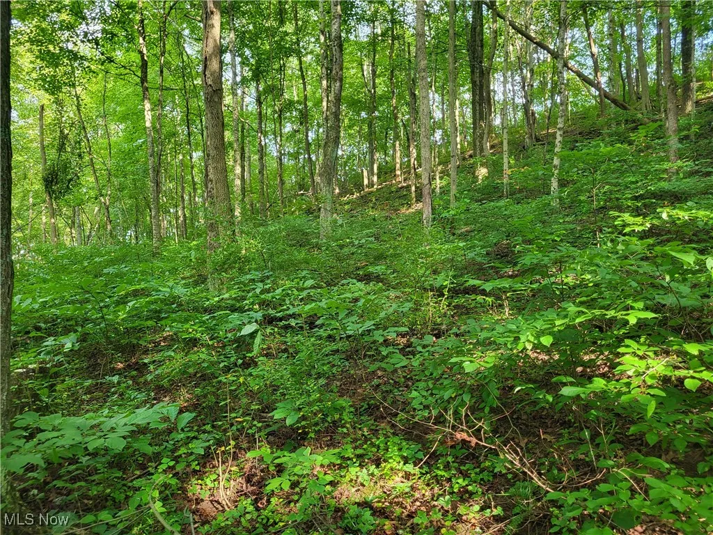 5855 Olney Run Road, Mcconnelsville, Ohio,MLS Now Listing ID