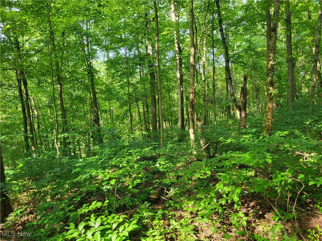 5855 Olney Run Road, Mcconnelsville, Ohio,MLS Now Listing ID
