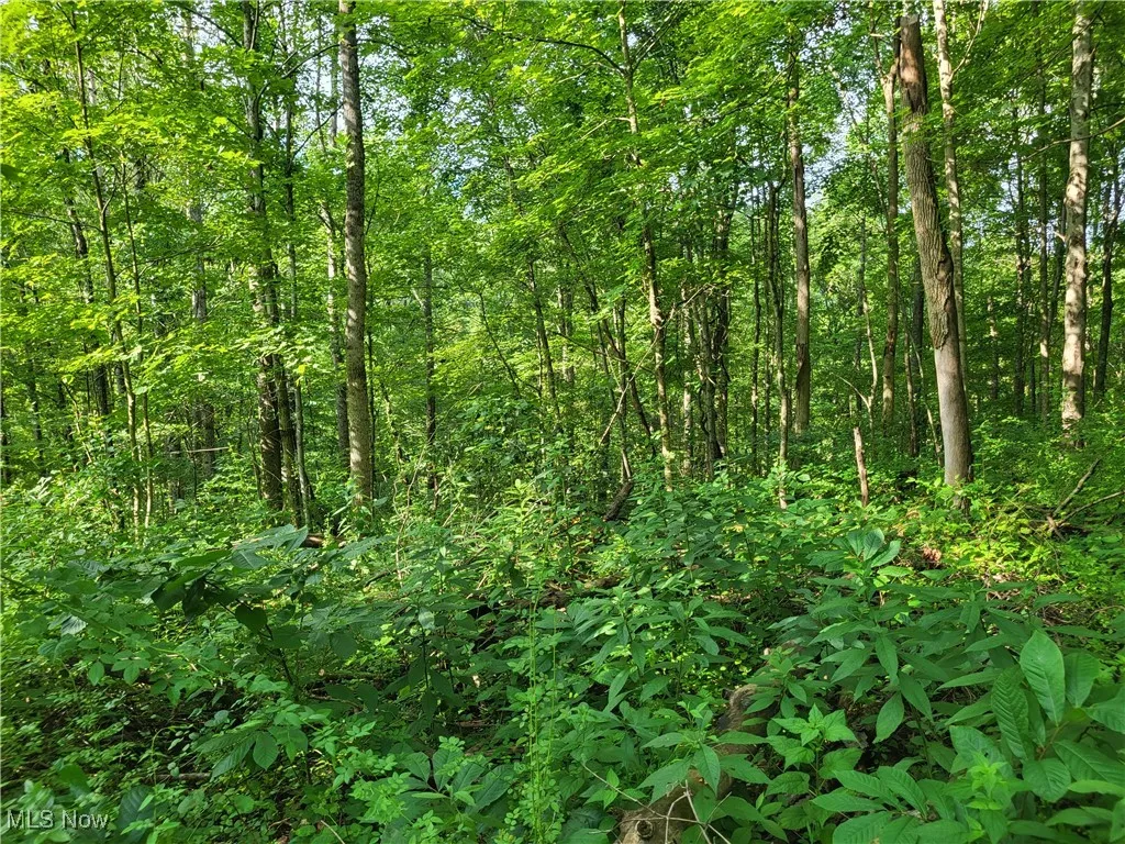 5855 Olney Run Road, Mcconnelsville, Ohio,MLS Now Listing ID