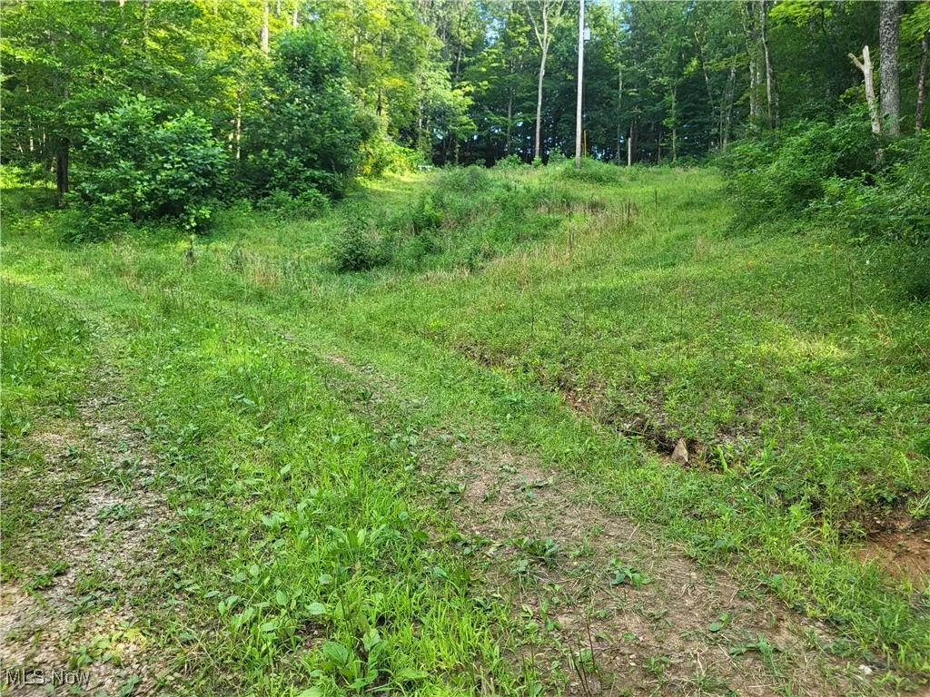 5855 Olney Run Road, Mcconnelsville, Ohio,MLS Now Listing ID