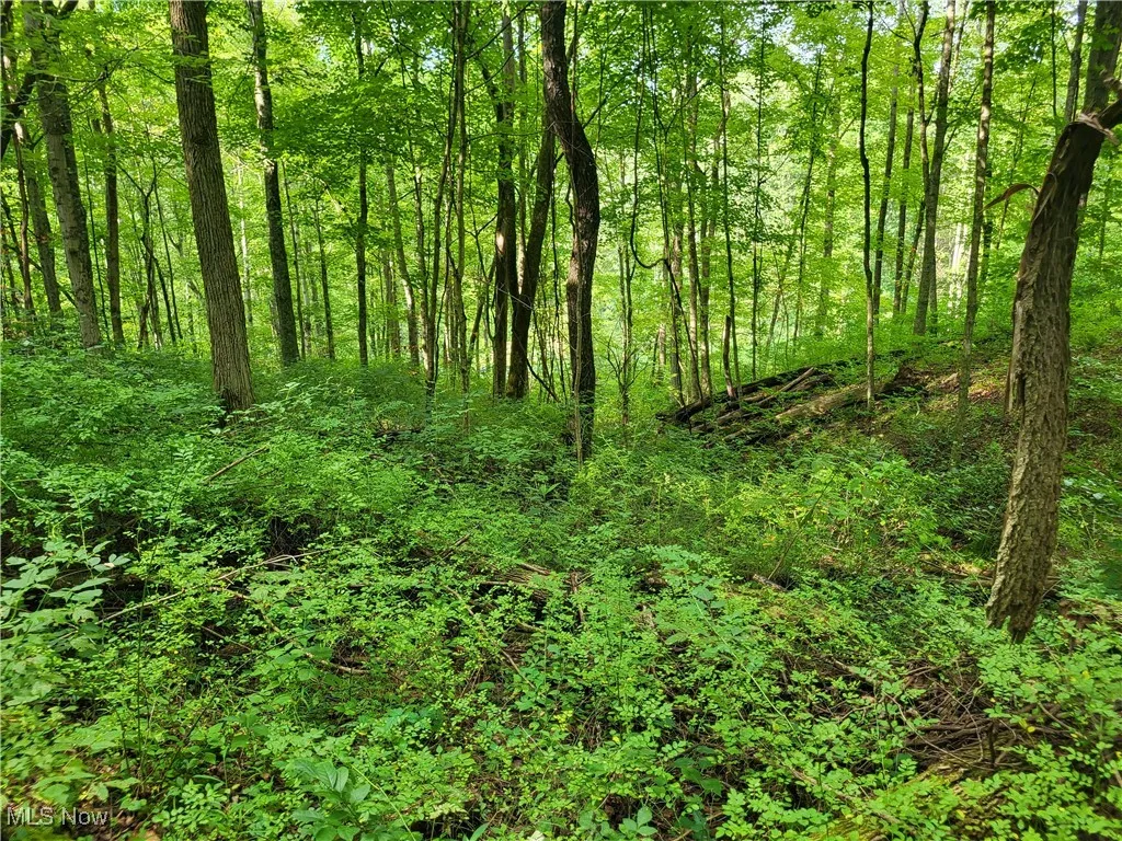 5855 Olney Run Road, Mcconnelsville, Ohio,MLS Now Listing ID