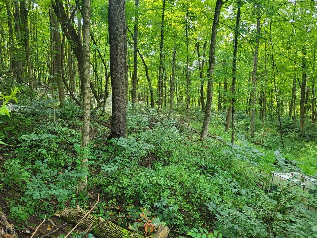 5855 Olney Run Road, Mcconnelsville, Ohio,MLS Now Listing ID