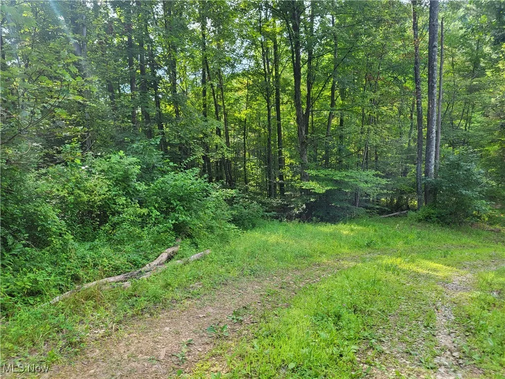 5855 Olney Run Road, Mcconnelsville, Ohio,MLS Now Listing ID