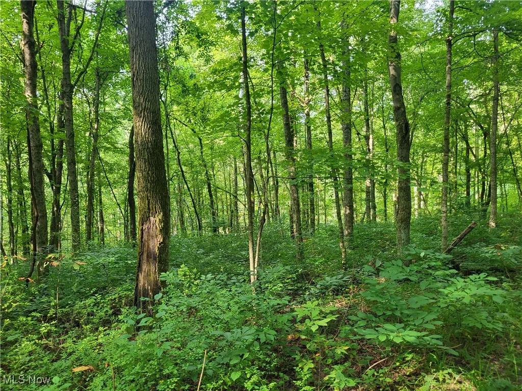 5855 Olney Run Road, Mcconnelsville, Ohio,MLS Now Listing ID