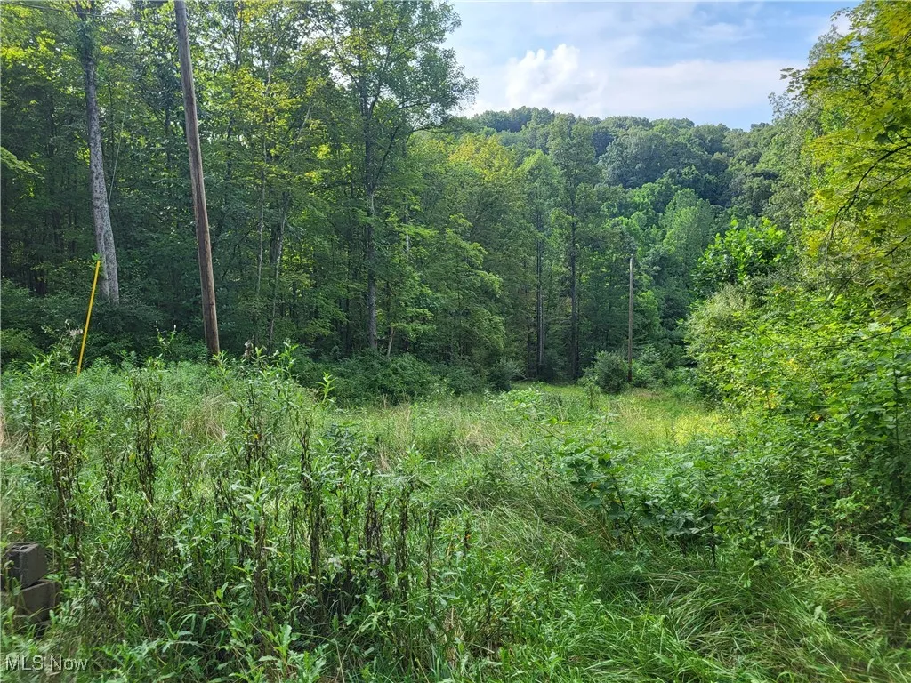 5855 Olney Run Road, Mcconnelsville, Ohio,MLS Now Listing ID