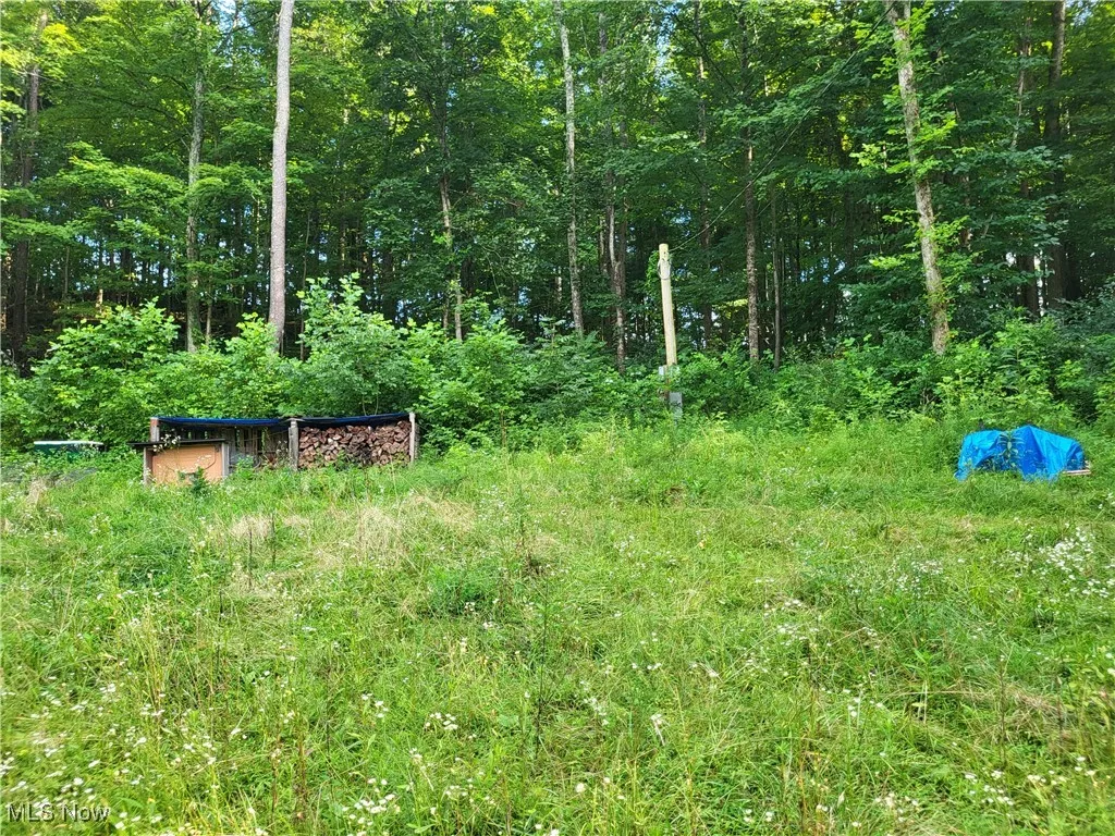 5855 Olney Run Road, Mcconnelsville, Ohio,MLS Now Listing ID