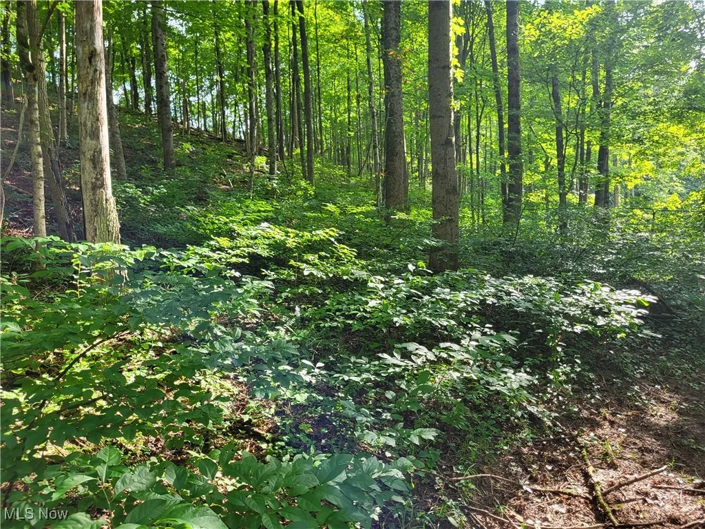5855 Olney Run Road, Mcconnelsville, Ohio,MLS Now Listing ID