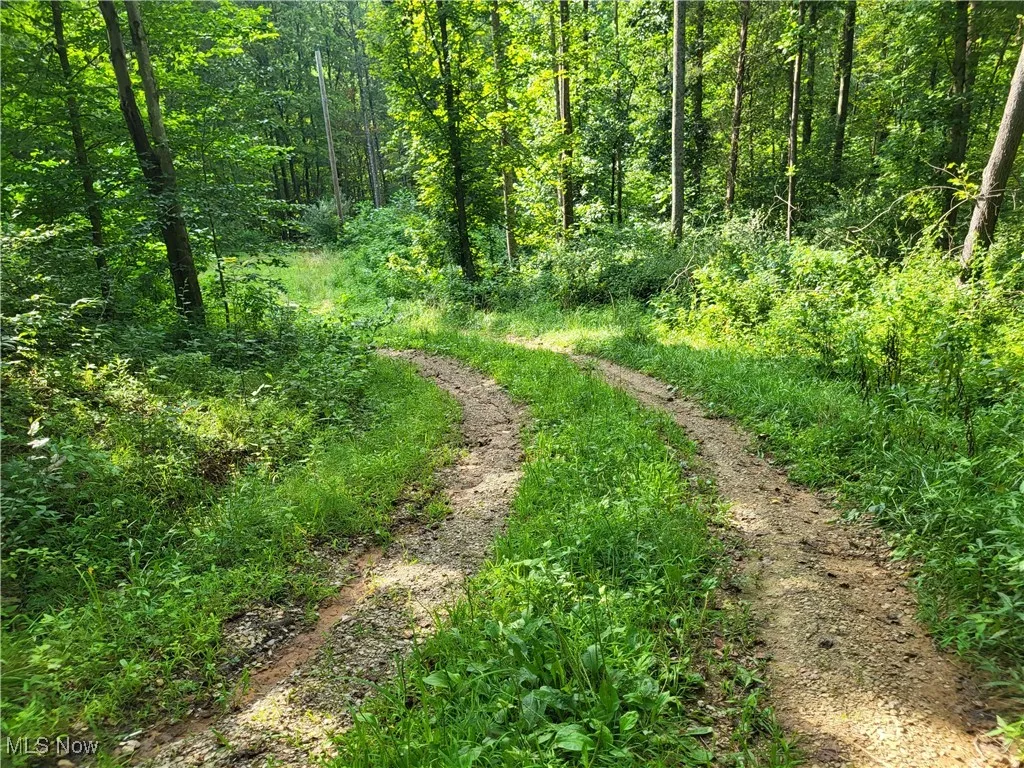 5855 Olney Run Road, Mcconnelsville, Ohio,MLS Now Listing ID