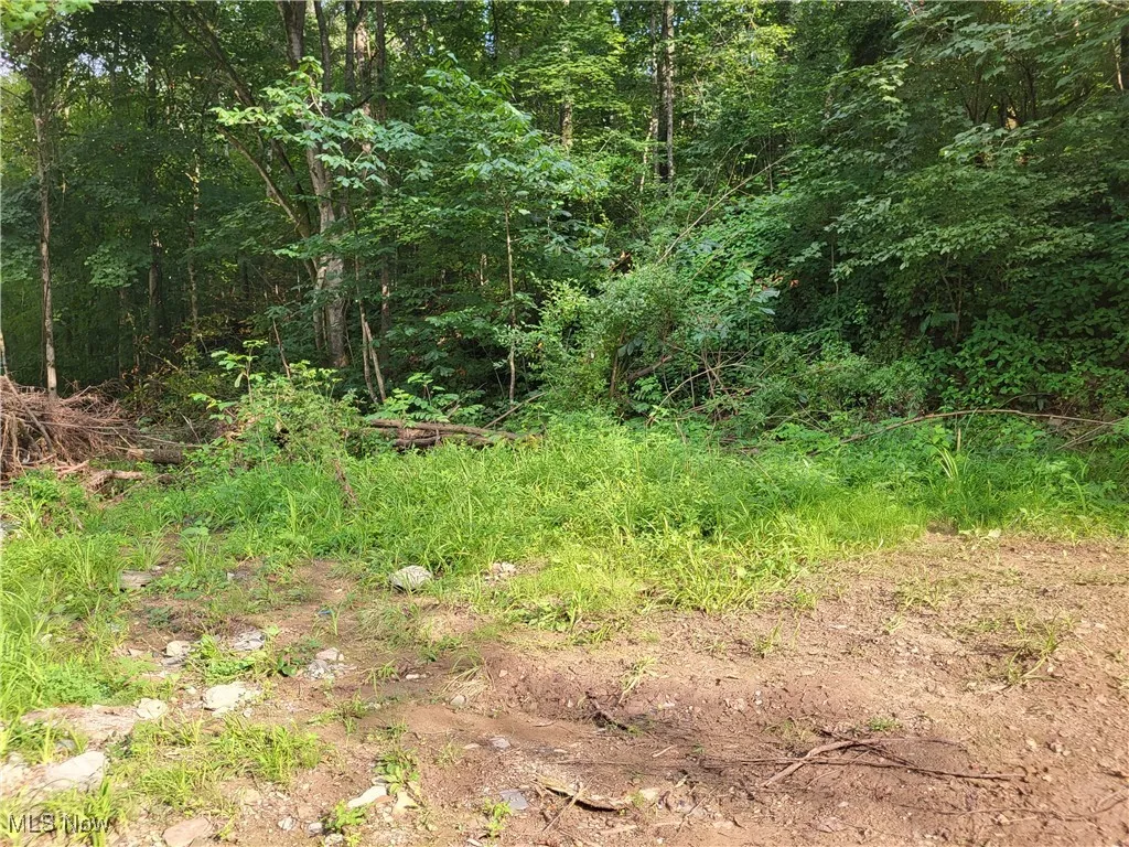 5855 Olney Run Road, Mcconnelsville, Ohio,MLS Now Listing ID