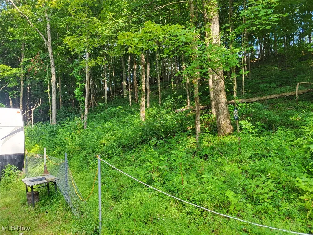 5855 Olney Run Road, Mcconnelsville, Ohio,MLS Now Listing ID