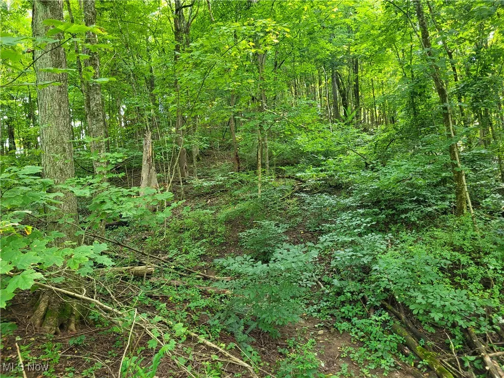 5855 Olney Run Road, Mcconnelsville, Ohio,MLS Now Listing ID