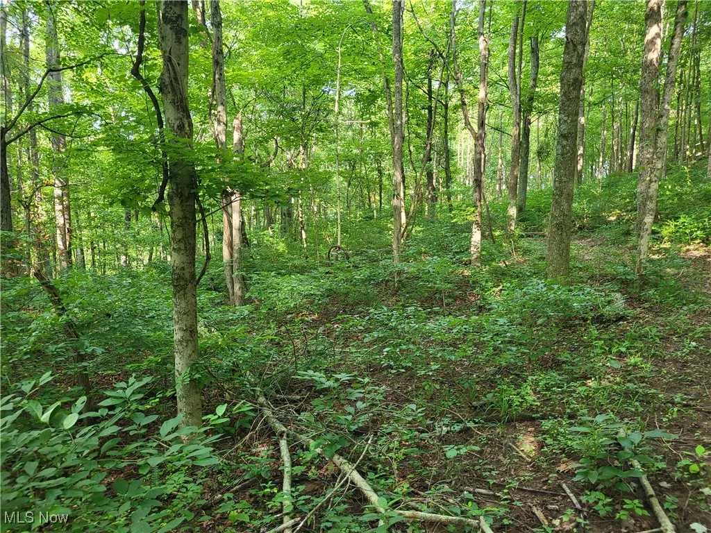 5855 Olney Run Road, Mcconnelsville, Ohio,MLS Now Listing ID
