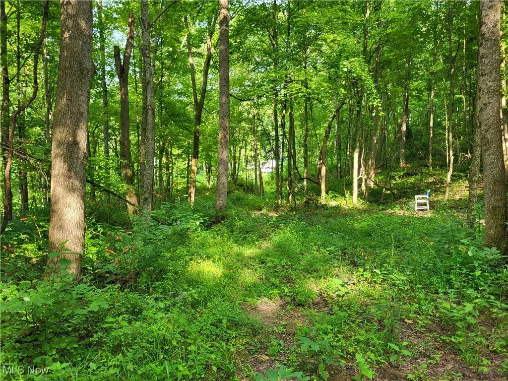 5855 Olney Run Road, Mcconnelsville, Ohio,MLS Now Listing ID