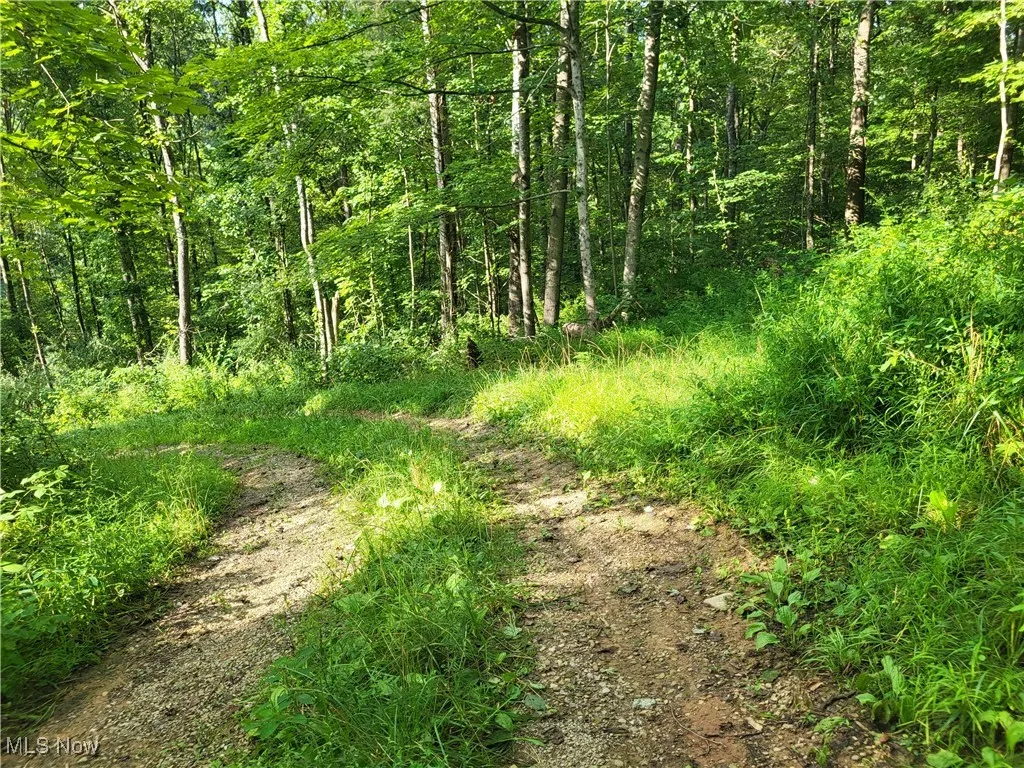 5855 Olney Run Road, Mcconnelsville, Ohio,MLS Now Listing ID