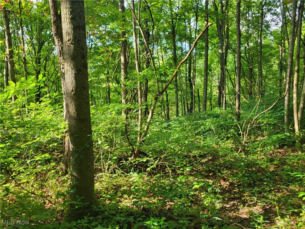 5855 Olney Run Road, Mcconnelsville, Ohio,MLS Now Listing ID