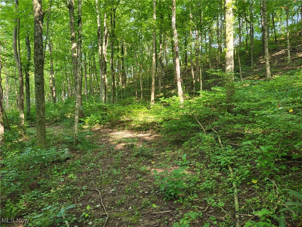 5855 Olney Run Road, Mcconnelsville, Ohio,MLS Now Listing ID