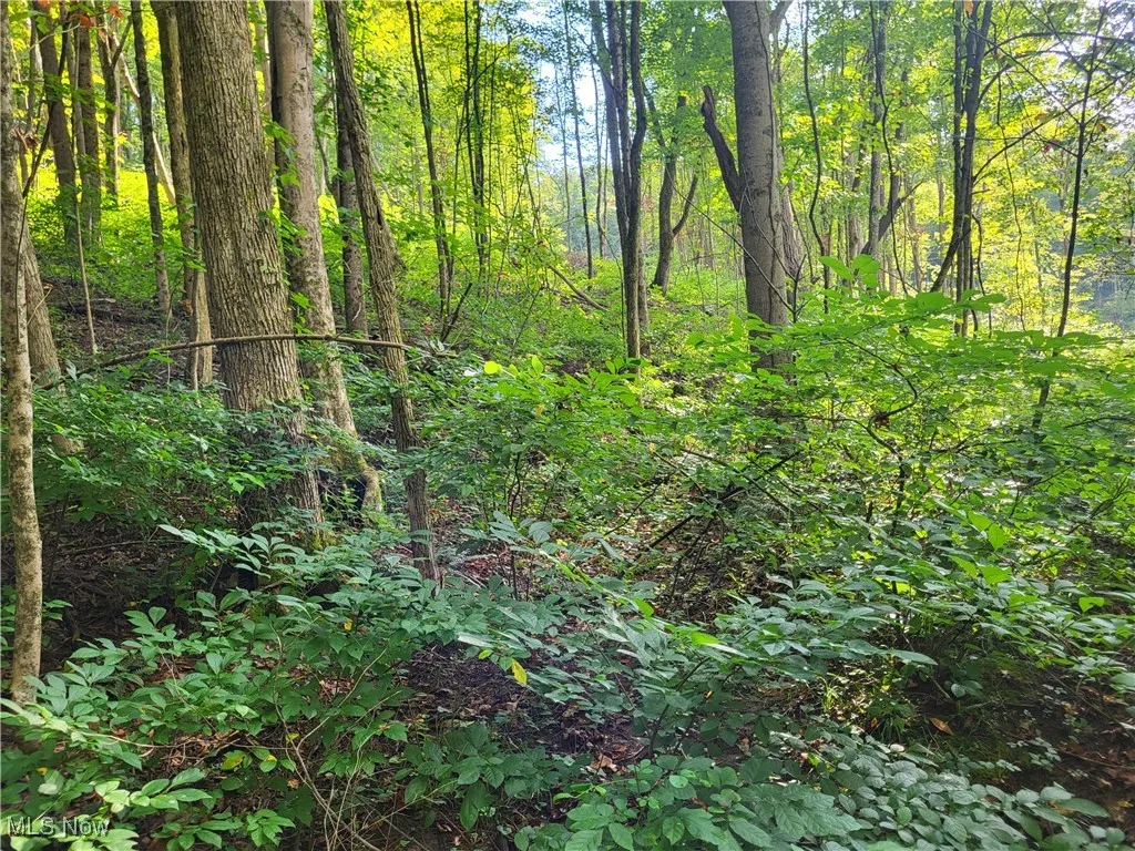 5855 Olney Run Road, Mcconnelsville, Ohio,MLS Now Listing ID