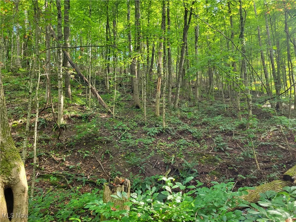 5855 Olney Run Road, Mcconnelsville, Ohio,MLS Now Listing ID