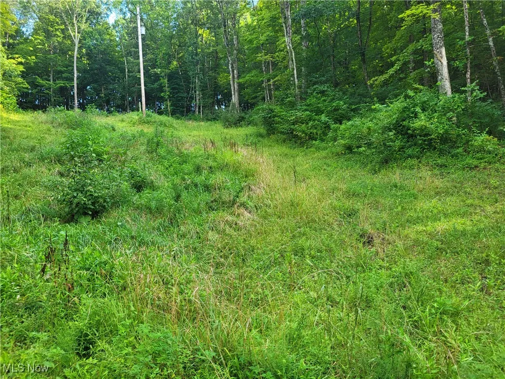 5855 Olney Run Road, Mcconnelsville, Ohio,MLS Now Listing ID