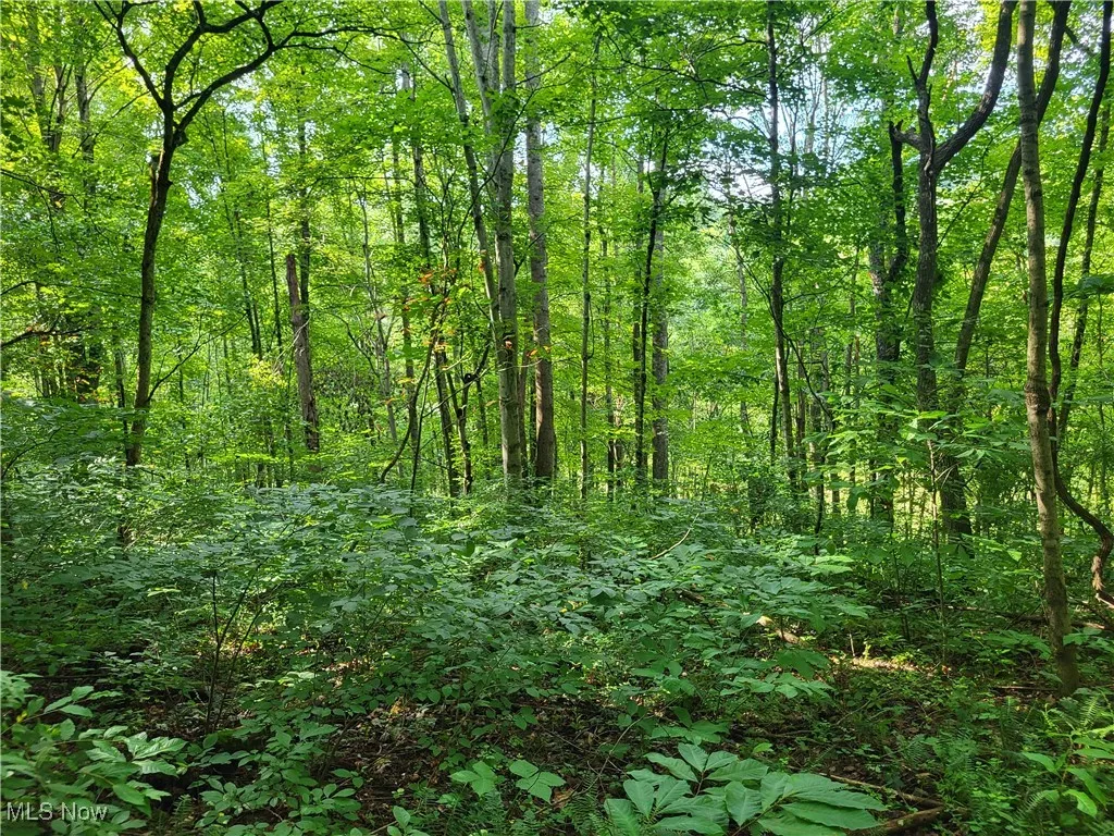 5855 Olney Run Road, Mcconnelsville, Ohio,MLS Now Listing ID