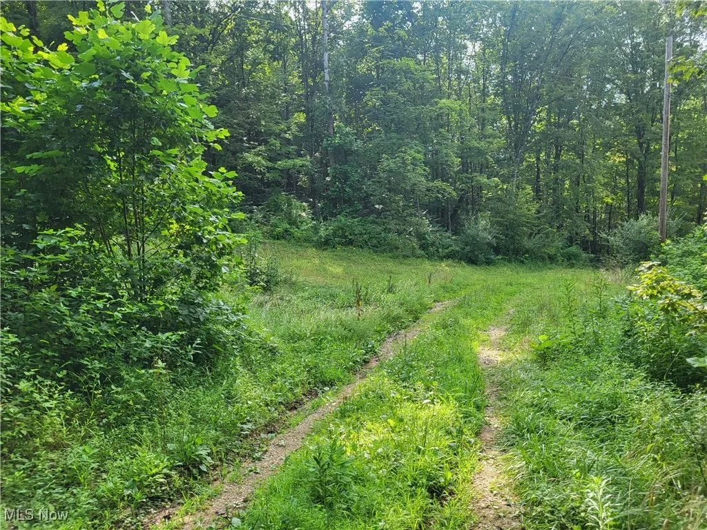 5855 Olney Run Road, Mcconnelsville, Ohio,MLS Now Listing ID